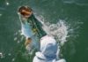On the Hunt for Old-Florida Tarpon – Garden & Gun