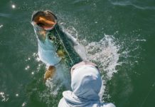 On the Hunt for Old-Florida Tarpon – Garden & Gun