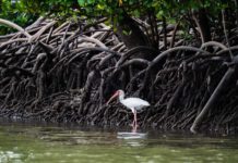 Wednesday Wake-Up Call 02.24.21 – Orvis News