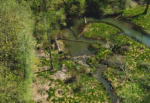 Metro Council appoints parks and nature oversight committee