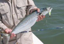 Spring blitz will bring plenty of fishing opportunities