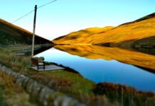 Loganlea reopens with Tiger trout ready to add bite at the Pentlands reservoir