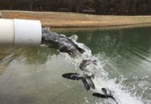 Denison’s 22nd Youth Trout Derby are among events this weekend