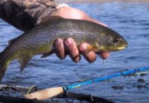 WETFLY Releases New Line of Fiberglass Rods for 2021