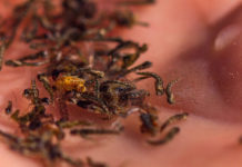 Ask the Experts: What are one or two things that most fly fishers don’t do that they should?