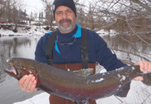 Idaho Fish & Game Still Accepting Volunteers for Steelhead Broodstock collection – Dailyfly.com Lewis-Clark Valley Community