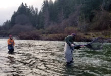 A fish tale worth the telling