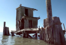 Fishing the Sturgeon Triangle