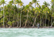 Fishing local streams, or streaming online