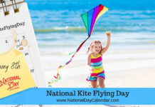 More Adults In The World Fly Kites Than Children