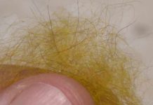 Video: A Primer on Natural Dubbing Materials