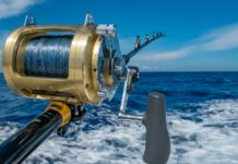 Global Fishing Reels Market 2020 Key Drivers, Future Estimations, Consumption Volume, Key Players and Regional Analysis to 2025 – NeighborWebSJ