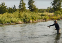 Video Pro Tips: The Importance of Proper Position in the Stream