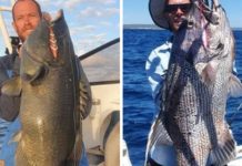 Epic conditions give anglers the edge | Fishing & Diving the Capes | Augusta-Margaret River Mail