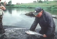 Classic Video: Ted Williams and the Atlantic Salmon