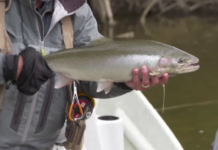 Videos: How to Swing for Great Lakes Steelhead