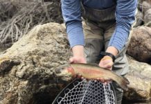 Tickets on sale for virtual 2021 Fly Fishing Film Tour