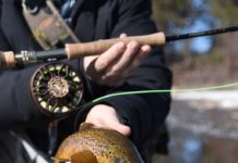 On the Fly column: Set the hook