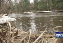 Back in Business as the Brule Reopens for Trout Season