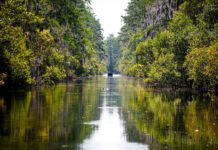 Could mining impact the Okefenokee? | Hatch Magazine