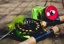 The color of March | Hatch Magazine