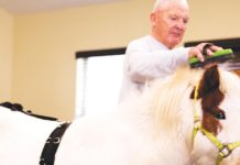 Provision Fund disburses funds to multiple entities | Local News