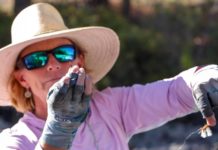 Uncertain Waters: Small Montana fly fishing businesses navigate COVID-19 |