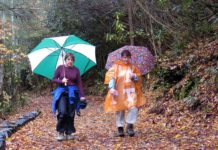 ENJOYING NATURE: Nature makes life interesting | Glade Sun