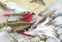North Country Angling: The forgotten flies of Anson Bell | Fishing