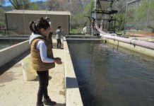Anglers welcome plans to restart repairs at Kernville fish hatchery | News