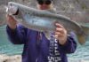 Looking for steelhead? Try Clear Creek | Outdoors