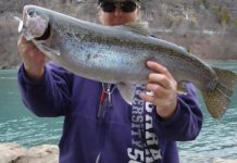 Looking for steelhead? Try Clear Creek | Outdoors