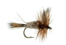 OUTDOORS: Rat-Faced McDougal fit to be tied | Sports