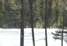 North Country Angling: Hunting for brook trout | Fishing