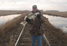 Spring Flings: Four Early Season ND Fishing Favorites | Hunting and Outdoors