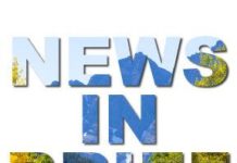 Local news in brief, March 25 | News