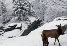 An ode to the month of March in the mountains