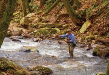 Fly Fishing Giles County, Virginia