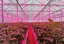 Who should lead the environmental movement? – Urban Ag News