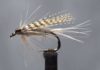 Video: How to Tie theDark Hendrickson Wet Fly