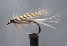 Video: How to Tie theDark Hendrickson Wet Fly