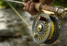 Fly Fishing Reel Market Rising Trends and Technology Outlook 2021 to 2026 – KSU