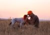 Orvis’ Short Film Is an Ode to Man’s Best Friend: ‘Copa’