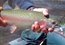 Rhode Island’s Trout Fishing Season Opens April 7th
