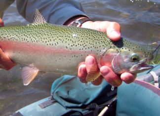 Rhode Island’s Trout Fishing Season Opens April 7th
