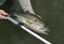 The Simplicity of Tenkara