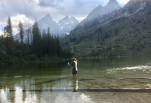 Global Sport Fly Fishing Tackle Market 2020 SWOT Study, Sales Analysis, Technological Innovations and Competitive Landscape to 2025