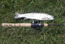 Upstate trout season opens March 28-29