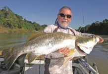 50 years of Dave Donald tales