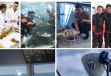 As Oceans and Technologies Change, So Do Opportunities